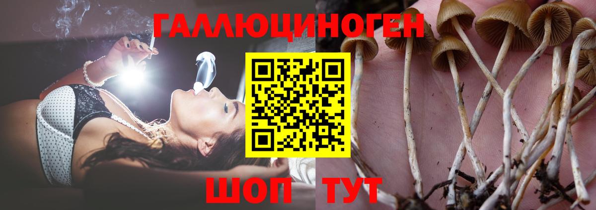Псилоцибиновые грибы Psilocybine cubensis  Вход с VPN  Воткинск 